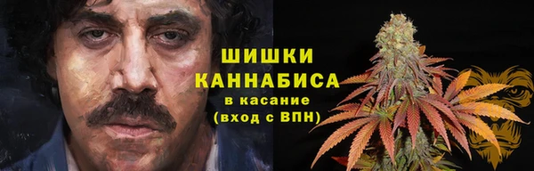 дживик Алзамай