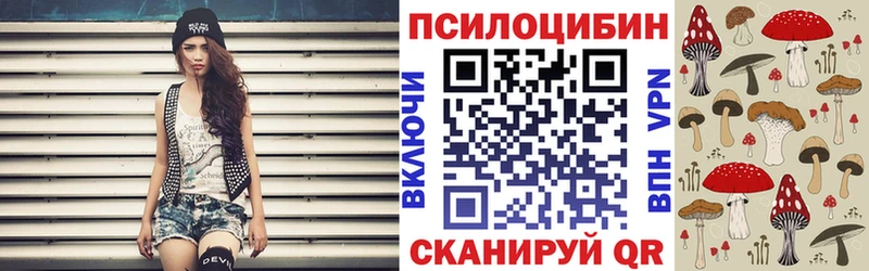 Галлюциногенные грибы Psilocybe Гуково