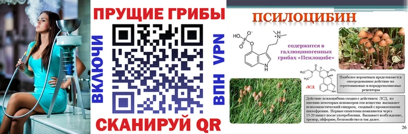 Псилоцибиновые грибы Magic Shrooms  Гуково 